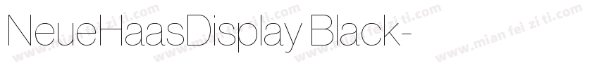 NeueHaasDisplay Black字体转换